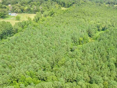 3097 N Carolina 87, Pittsboro, NC 27312 - photo 5