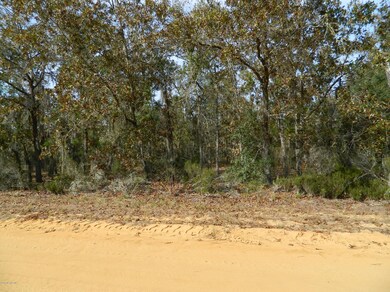 130 Lake Lucy Court (4)