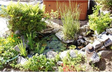 Lush pond & waterfall - enjoy the peacful sound of