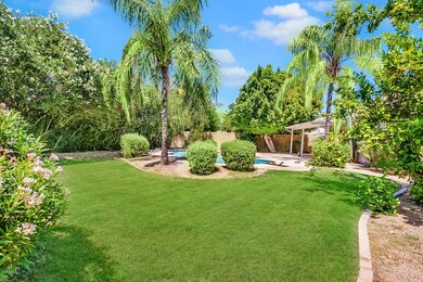 Large lot is like an oasis