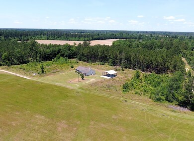 5306 Ga Highway 24 W, Waynesboro, GA 30830 - photo 3