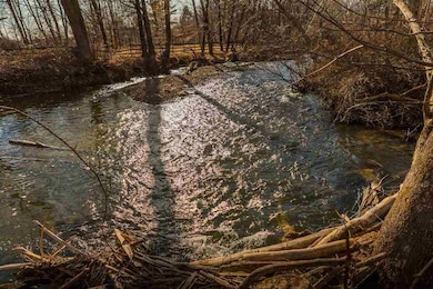 230 Boice Mill Rd, Kerhonkson, NY 12446 - photo 3