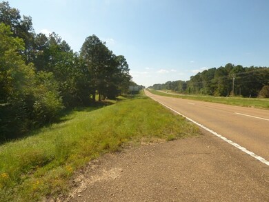 4004 Us Highway 98, McComb, MS 39648 - photo 3