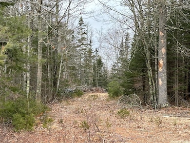 221 Bucksport Rd, Bucksport, ME 04605 - photo 3