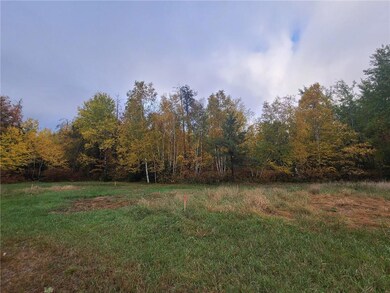 30109 Minerva Dam Rd, Danbury, WI 54830 - photo 7