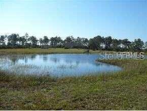 Pond view.
