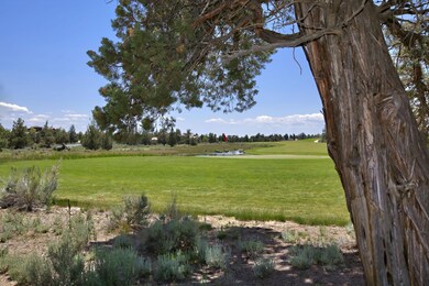 batch_Pronghorn_Lot 51_005