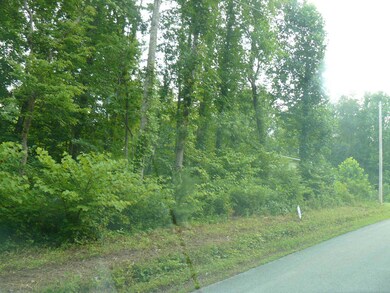 Lots 1-3 Rose Hill Ln, Rutledge, TN 37861 - photo 4