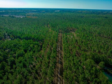 Hwy 45, Loris, SC 29569 - photo 6