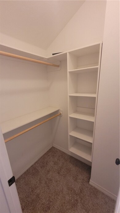 Spacious closet with carpet floors and lofted ceil