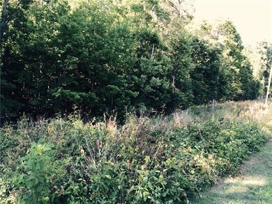 Lot #26 Hazen Dr unit 26, Crouse, NC 28033 - photo 3