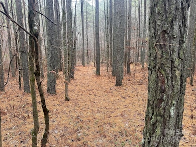 0 Frog Creek Rd unit CAR4326977, Union Mills, NC 28167 - photo 2