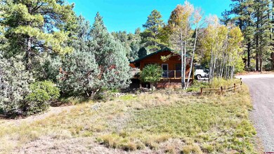 1069 Beucler Ln, Pagosa Springs, CO 81147 - photo 4