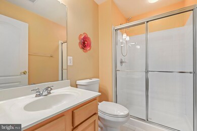 43111 Royal Fern Terrace, Broadlands, VA 20148 - photo 6