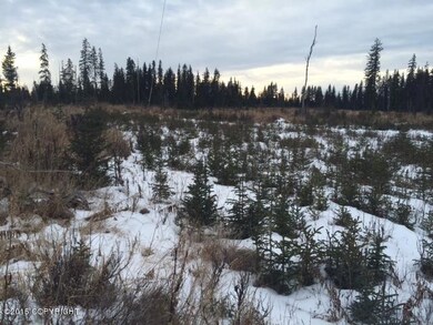 L6 Vince Rd, Anchor Point, AK 99556 - photo 3