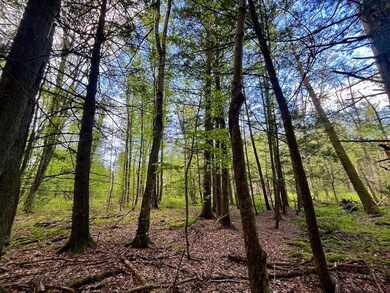 00 Mt Laurel Rd unit LotWP001, Greenfield Park, NY 12435 - photo 6