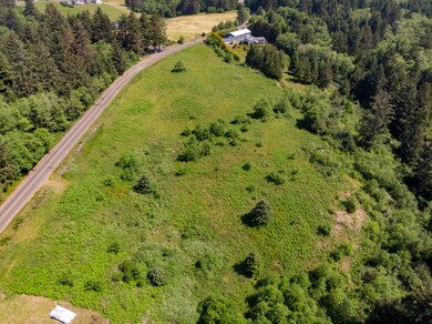 DJI_0493