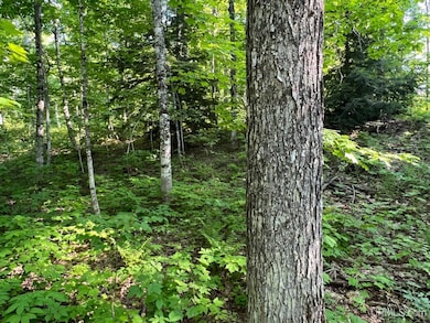 TBD359 Aaa Rd, Big Bay, MI 49808 - photo 7