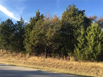 239 Barrington Cir, Gordonville, TX 76245 - photo 4