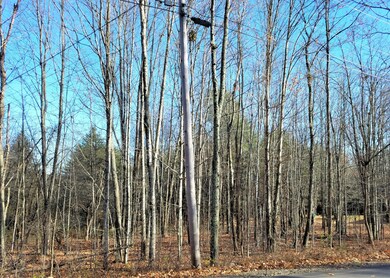 Map 7 Lot 7-5-3A Garcelon Road