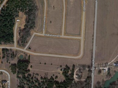 Lot 17D Vallhalla Ct, Gordonville, TX 76245 - photo 5