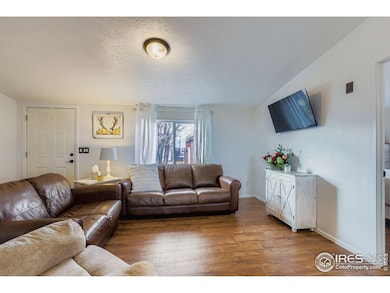 11154 Bluff Lodge unit 4, Longmont, CO 80504 - photo 5