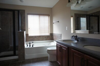 9723 Maxson Dr, Land O Lakes, FL 34638 - photo 6