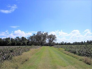 Very Private Surrounded By Cotton Fields