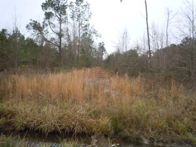 Mollie Road Land 001