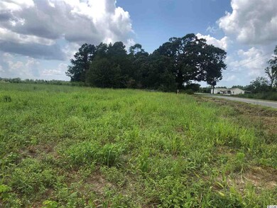 TBD W Highway 19 unit Lot 6, Loris, SC 29569 - photo 4