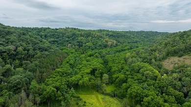 0 Leykom Rd, Waumandee, WI 54622 - photo 3