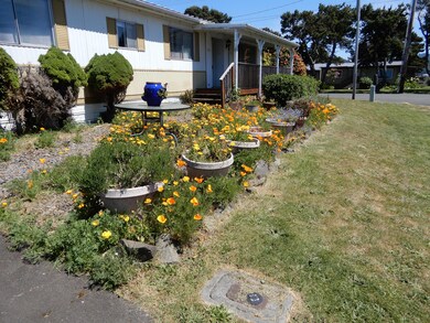 Front yard