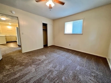 2011 Helen St, Fayetteville, AR 72701 - photo 6