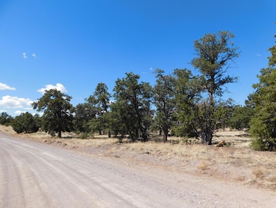 15 River Ln, Quemado, NM 87829 - photo 3