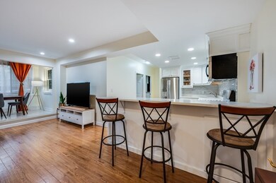 38 Juniper St unit 104, Brookline, MA 02445 - photo 3