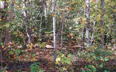 Additional View