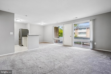 534 Wilson Bridge Dr unit C-1, Oxon Hill, MD 20745 - photo 2