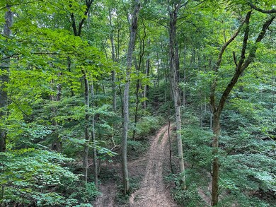 0 Goose Creek Rd, Carlisle, KY 40311 - photo 5