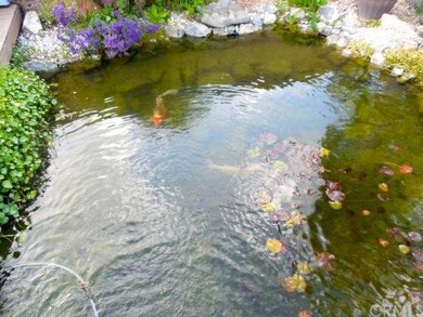 UNIQUE CUSTOM POND