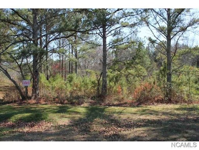 Lot 71 S Montcrest Dr, Cullman, AL 35057 - photo 3
