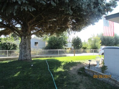 Front yard