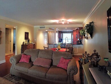 Living Room-1