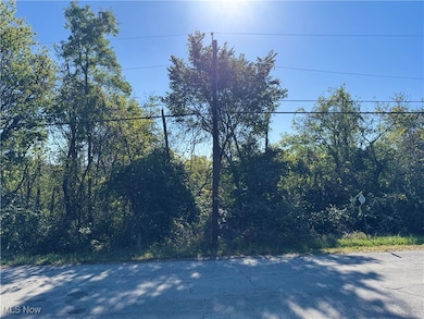 TBD W Main St, Barnesville, OH 43713 - photo 3