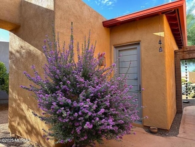 116 Powell Ct, Tubac, AZ 85646 - photo 4