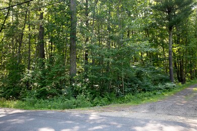 Lot 1