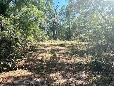 4140 S Kenvera Loop, Inverness, FL 34450 - photo 6