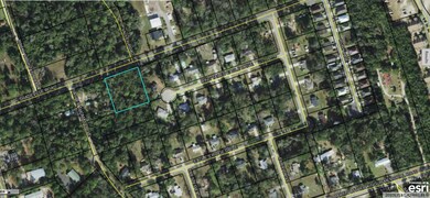 xx Shadeville Rd, Crawfordville, FL 32327 - photo 2