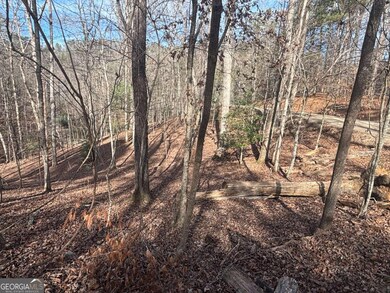 LT 727 Armor Ct, Ellijay, GA 30540 - photo 2