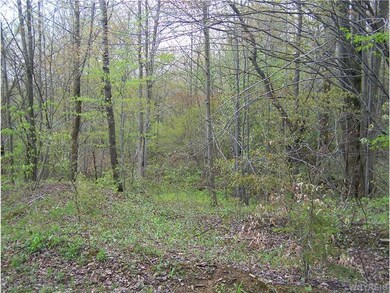 Land.