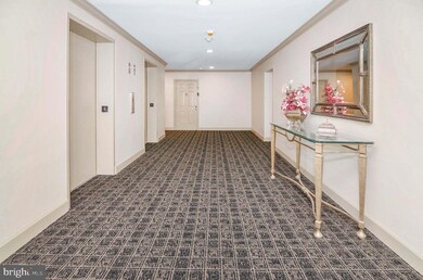 3041 Fallstaff Rd unit 403D, Baltimore, MD 21209 - photo 3